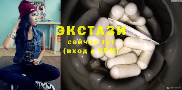СК Снежногорск