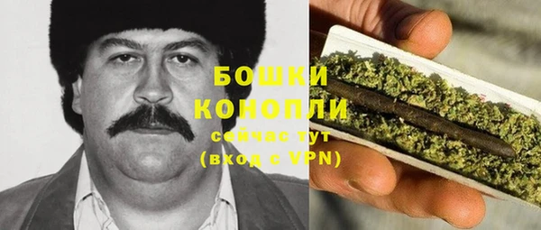 apvp Белокуриха