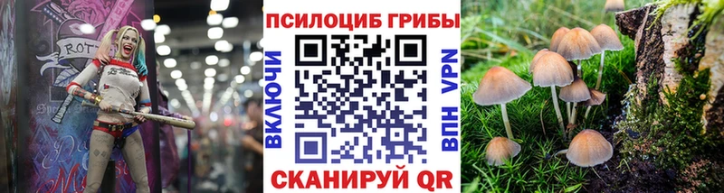 Галлюциногенные грибы Psilocybe  Магас 